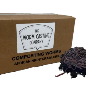 Box of African Nightcrawler composting worms for making high quality worm castings by the worm casting co shipping across the U.S.