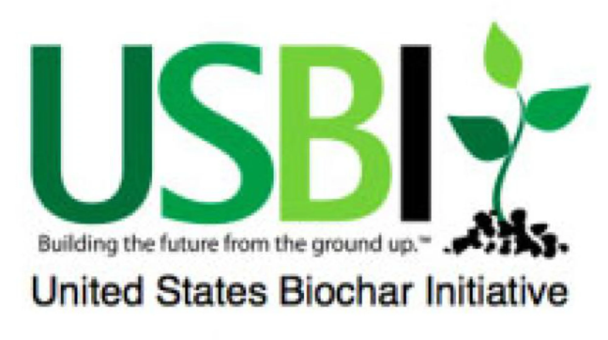 United States Biochar Initiative USBI logo